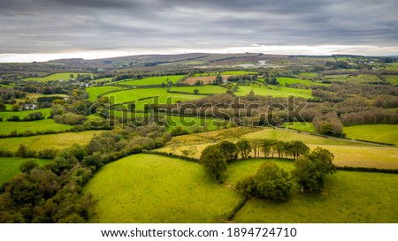 Cavanacaw Tree Ring- Omagh, Co.Tyrone- Northern Ireland