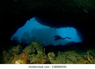 Cave Diving With A Colorful Reef