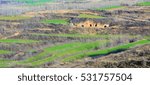 Cave Dwelling and green wheat in hills.