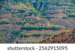 Cave dwellings on the Loess Plateau in Linfen, Shanxi