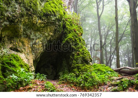 Cave in foggy forest
