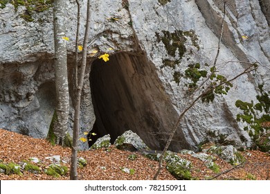 Cave As Meeting Point Of Anabaptists, Switzerland