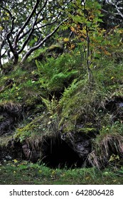 Cave-like Space Between Volcanic Lava Rocks Covered In Moss And Foliage In Hellisgerdi Park In Iceland, A Legendary Location For Elves