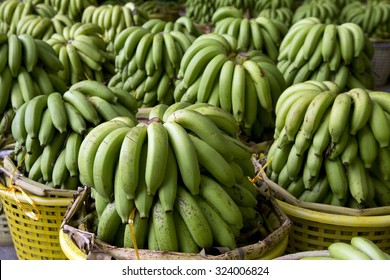 Cavendish Banana