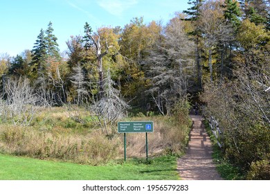CAVENDISH, PRINCE EDWARD ISLAND - October 11, 2011: Sign At Green Gables Haunted Woods Trail, PEI, Canada. The 19th-century Farm Is One Of The Most Notable Literary Landmarks In Canada.