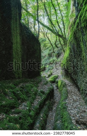 The Cavoni path near Nepi, in the province of Viterbo, Lazio, Italy.
