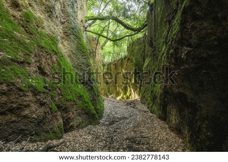 The Cavoni path near Nepi, in the province of Viterbo, Lazio, Italy.