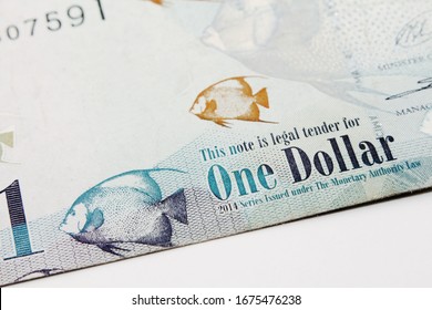 7 Cayman Islands Monetary Authority Images Stock Photos Vectors   Cayman Islands Dollar Banknote National 260nw 1675476238 