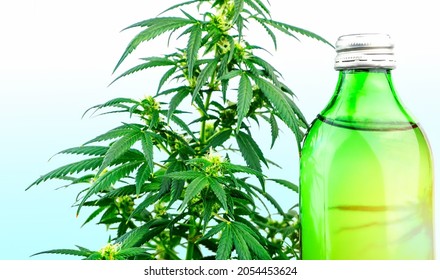 CBD cannabis infused drink against cannabis plant - Shutterstock ID 2054453624