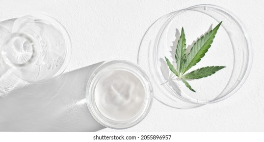 CBD cream in glass jar and hemp leaves on petri dish on white table. Marijuana as cosmetic ingredient. using hemp leaves extract in cosmetic for beautiful skin. top view. banner