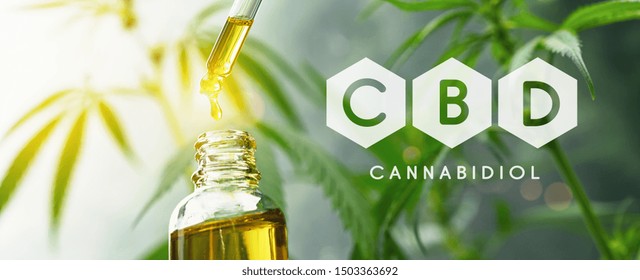 CBD droplet dosing a biological and ecological hemp plant herbal pharmaceutical cbd oil from a jar. Concept of herbal alternative medicine, cbd oil, pharmaceutical industry