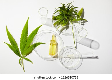 Cbd htc cannabis oil in laboratory. Concept of medicine.