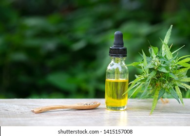 CBD oil cannabis extract, Hemp oil bottles and hemp flowers on a wooden table,  Medical cannabis concept