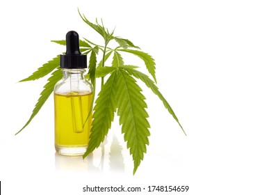 Cbd Oil, Cannabis Extract. Medical Marijuana, Hemp Oil In Bottle.