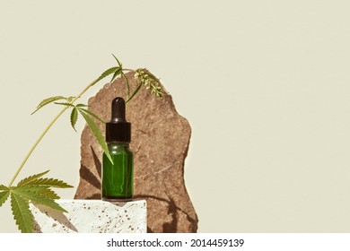 CBD Oil In Glass Bottle With Dropper And Cannabis Branch, Hemp On Podium Beige Background