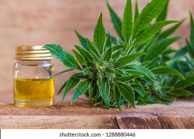 CBD Oil Hemp Products