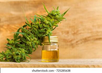 CBD Oil Hemp Products