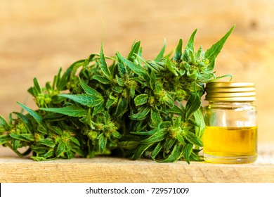 CBD Oil Hemp Products