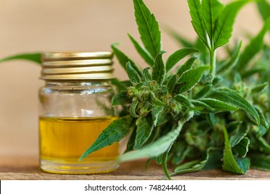 CBD Oil Hemp Products