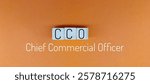 CCO (Chief Commercial Officer) Displayed on Wooden Cubes with Orange Background. 