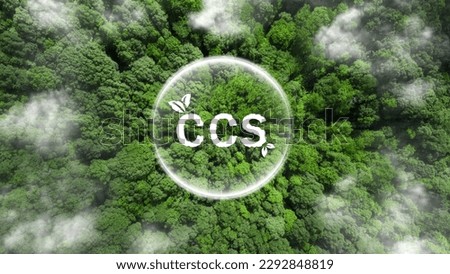CCS acronym for Carbon Capture Storage words CCS in bubbles with a forest background. Net zero action concept. Save energy, green energy, reduce carbon footprint, carbon capture. World environment day