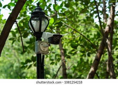cctv camera for maintain security Install on lamppost and green natural as background.