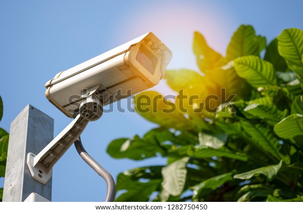 CCTV or Close Circuit Television are monitor\
and record cars in parking lot and transportation of shopping mall\
to prevent robbery and\
security.