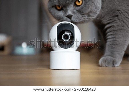CCTV security camera, Security camera high Technologies smart home security digital lifestyle with cute pets