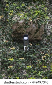 CCTV security camera on green wall background