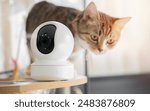 CCTV security spy gadgets and camera monitoring concept. Close-up view of CCTV camera setting on the cat tower at home.