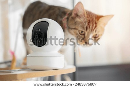 CCTV security spy gadgets and camera monitoring concept. Close-up view of CCTV camera setting on the cat tower at home.