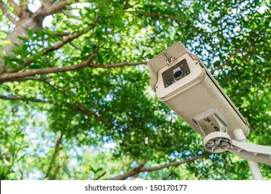 CCTV under trees in the park