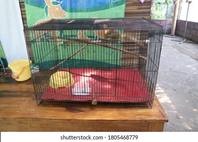 Cebongan, Sleman, Indonesia, June 21-2020 :Pet Rodent Cage,hamster Wheel In Old And Empty