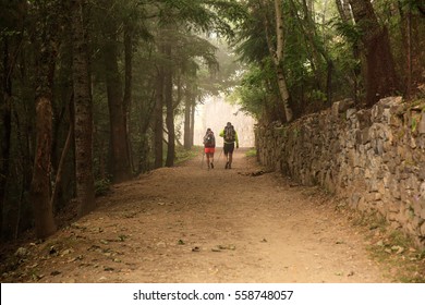 CEBREIRO, SPAIN - AUGUST, 09: Pilgrims Along The Way Of St. James On August 09, 2016