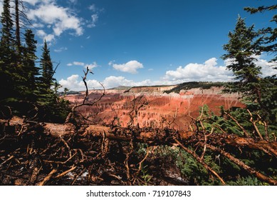 cedar breaks 
