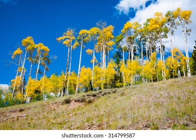 Cedar Breaks National Monument