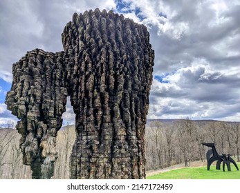 Cedar And Bronze At Storm King