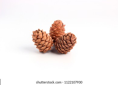 Cedar cones with drops of resin, stand around on a white background.