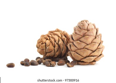 Cedar cones on a white background