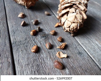 Cedar cones, pine nuts on a wooden table. selective focus.