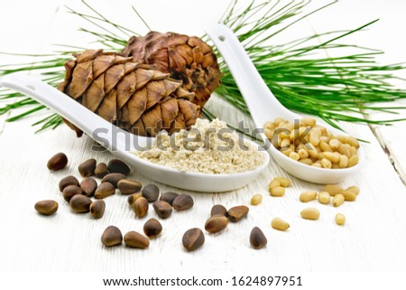 Cedar flour and peeled nuts in two spoons, two cones, a green cedar branch on a wooden board background