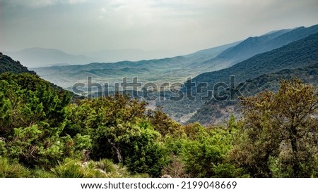Cedar forests in the bouiblane Mountains