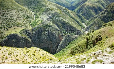 Cedar forests in the bouiblane Mountains