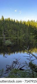 Cedar Lake In Bellingham, Washington