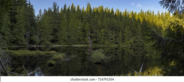 Cedar Lake In Bellingham, Washington