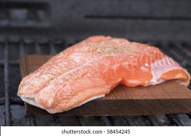 Cedar Plank Salmon On Grill