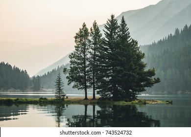 Cedar Trees   With Reflections Along The Two Jack Lake In Banff 