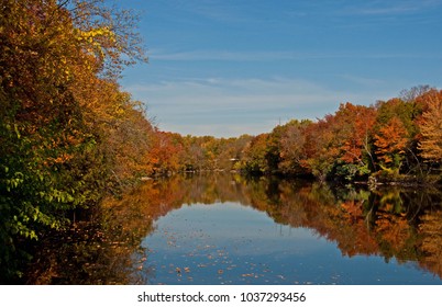 Cedarburg Creek Reflection