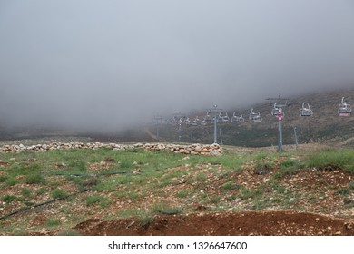 Cedars ski slops summer