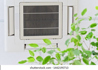 Ceiling Air Conditioner In Modern Office Or At Home With Green Ficus Plant Leaves An Idea Of Clean Air. Indoor Air Quality Concept